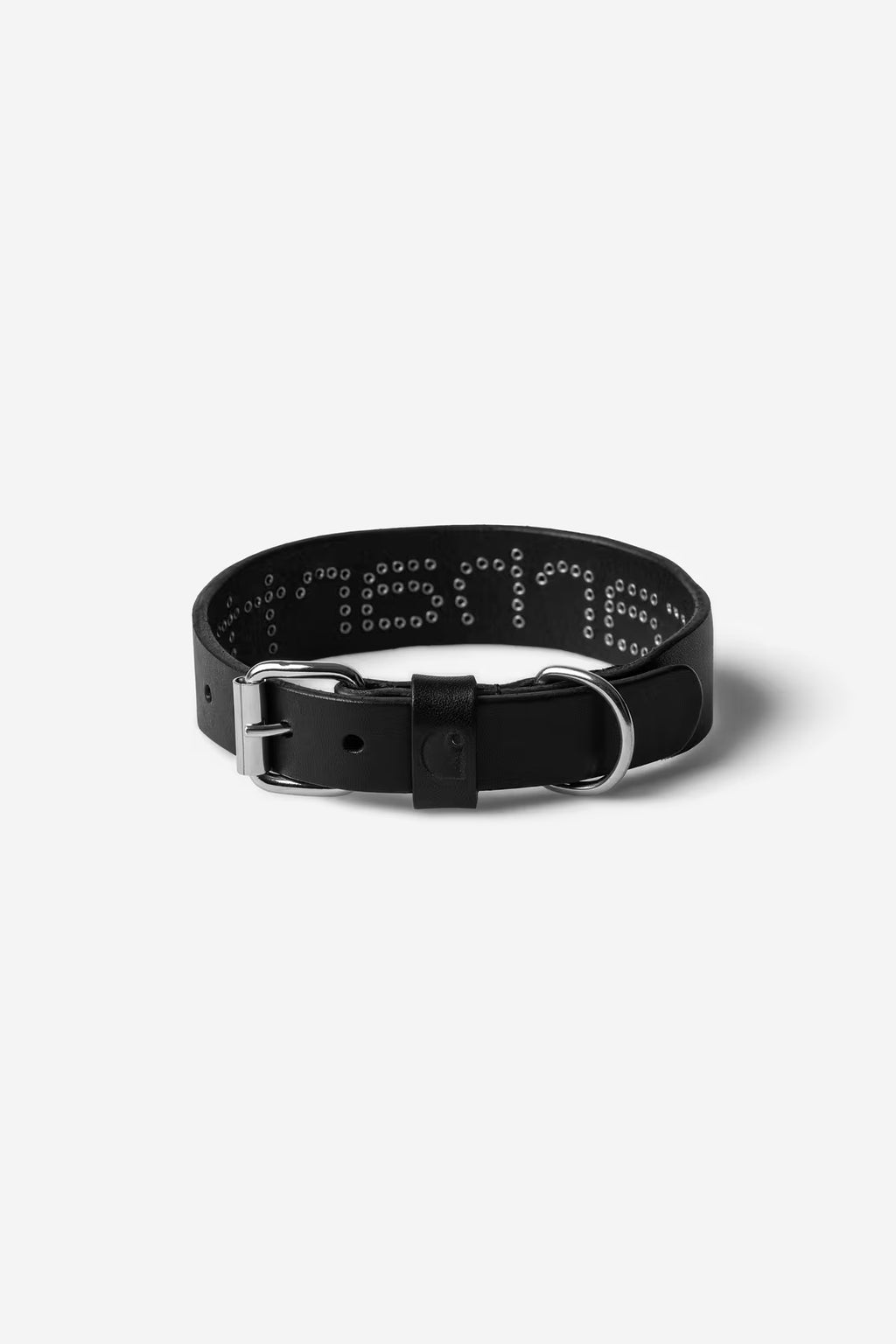 Script Studs Dog Collar