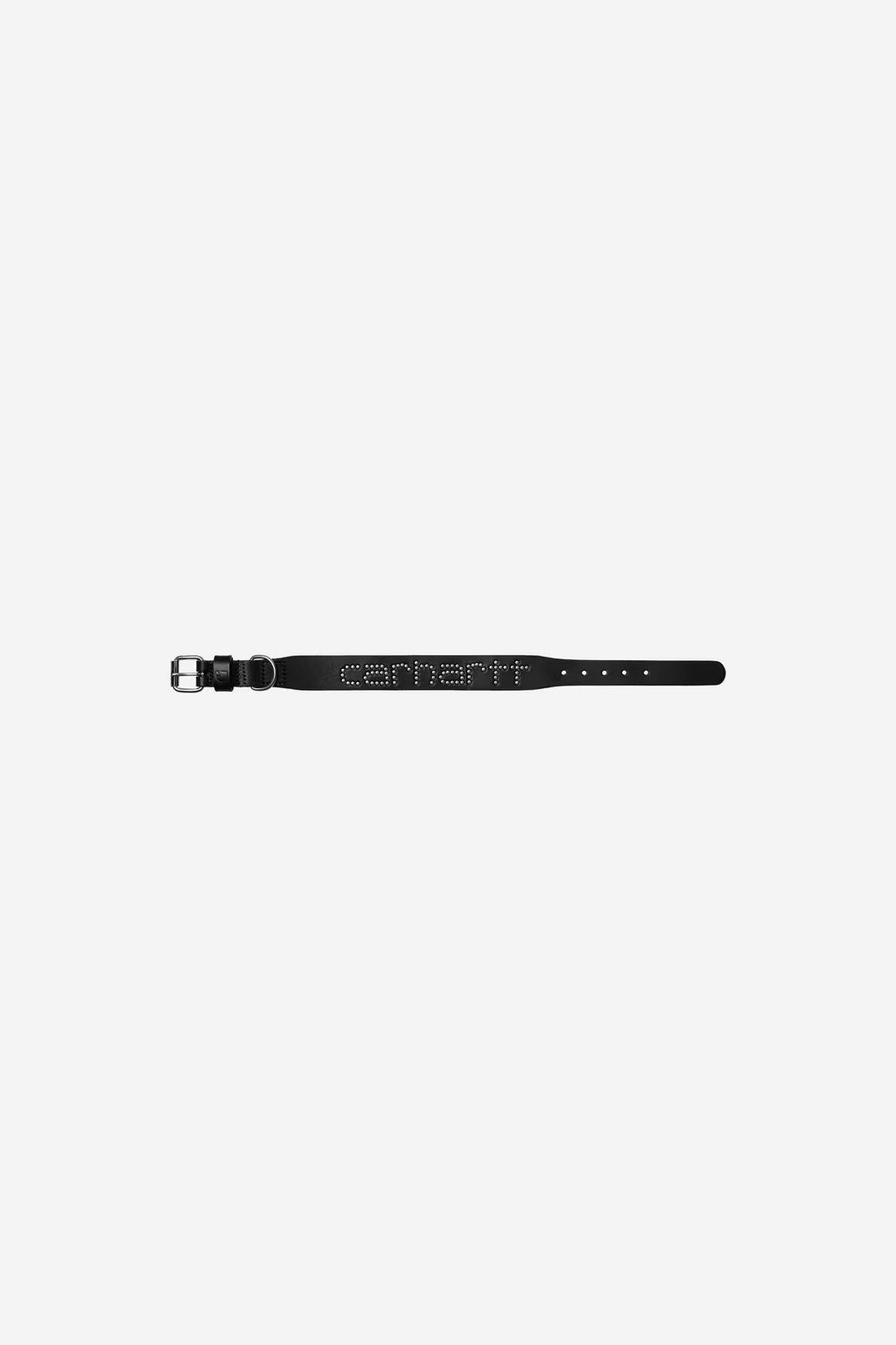 Script Studs Dog Collar