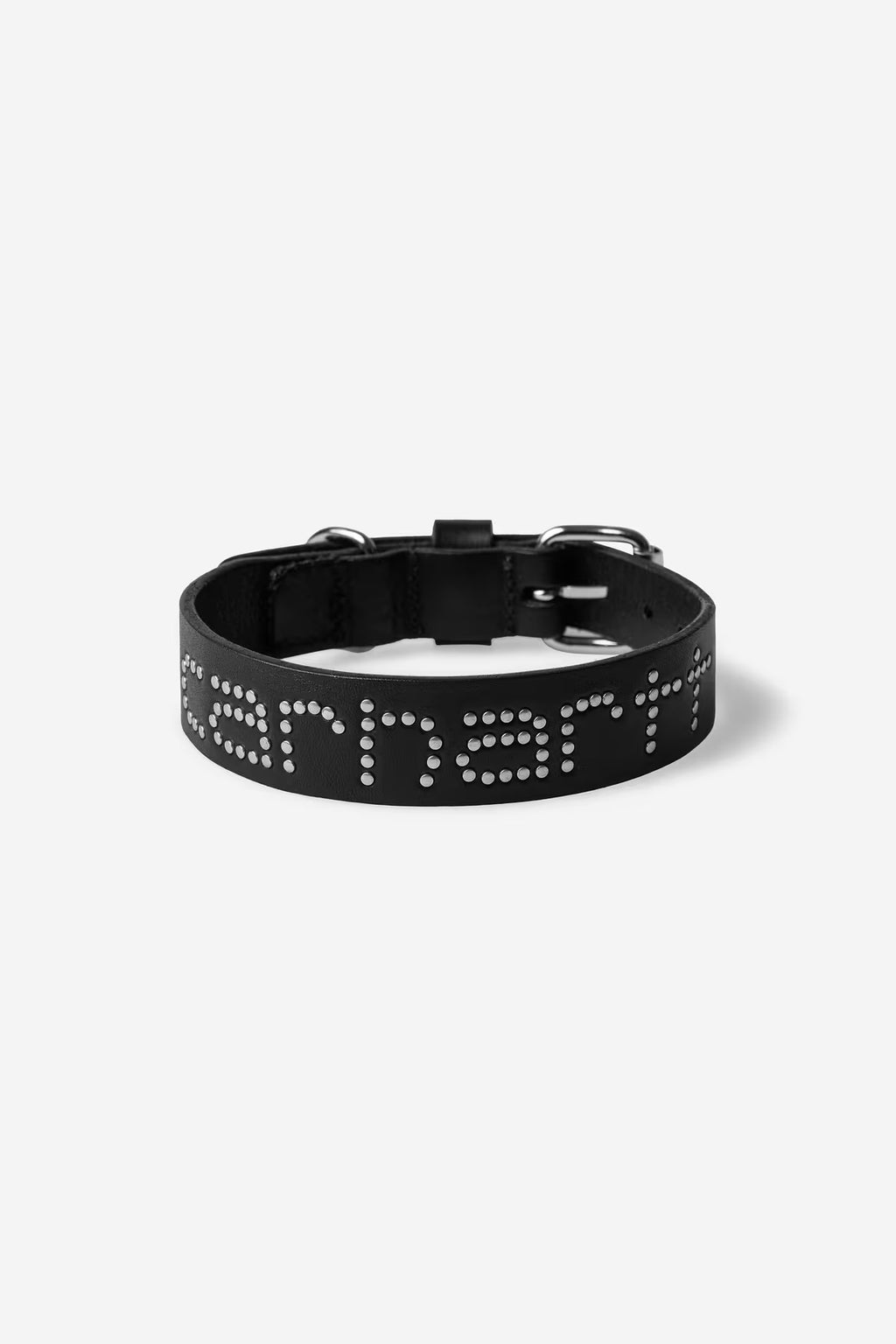 Script Studs Dog Collar
