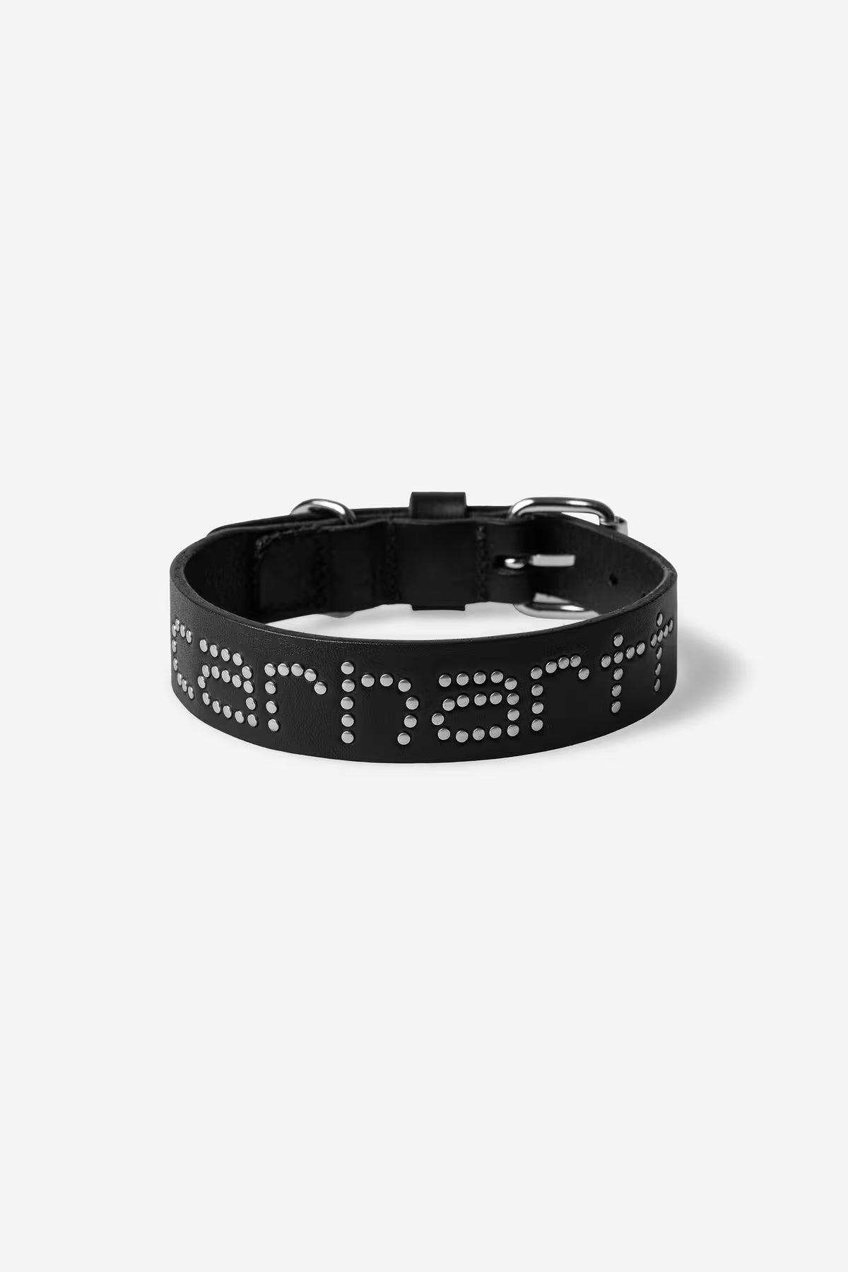 Script Studs Dog Collar