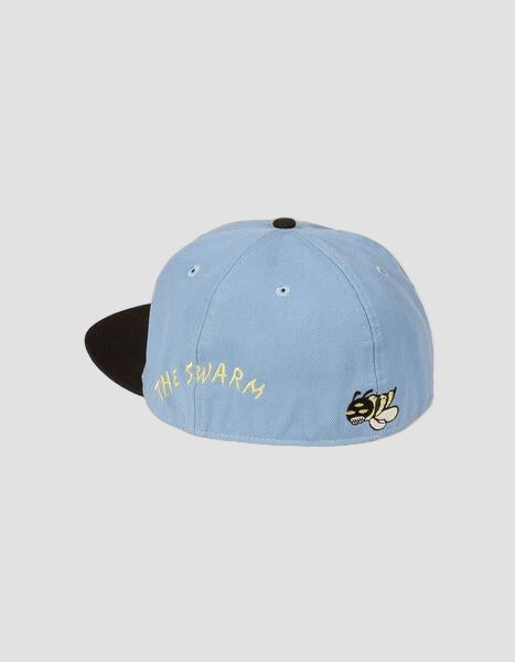 The Swarm x DC Shoes Cap