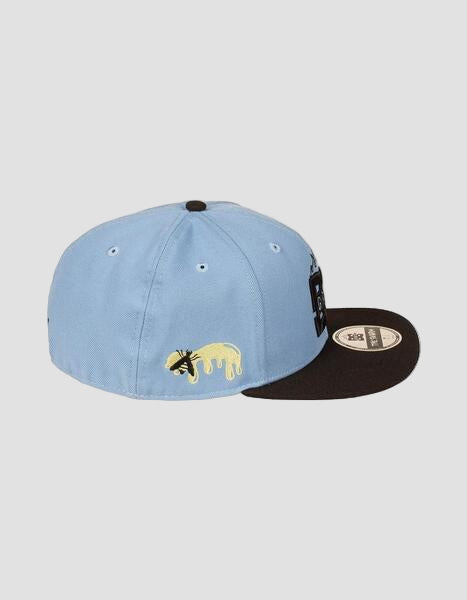 The Swarm x DC Shoes Cap