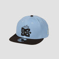 The Swarm x DC Shoes Cap